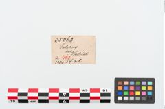 Etiketten zu Bronzeschlangenfibel (NHMW-PRAE-025063)